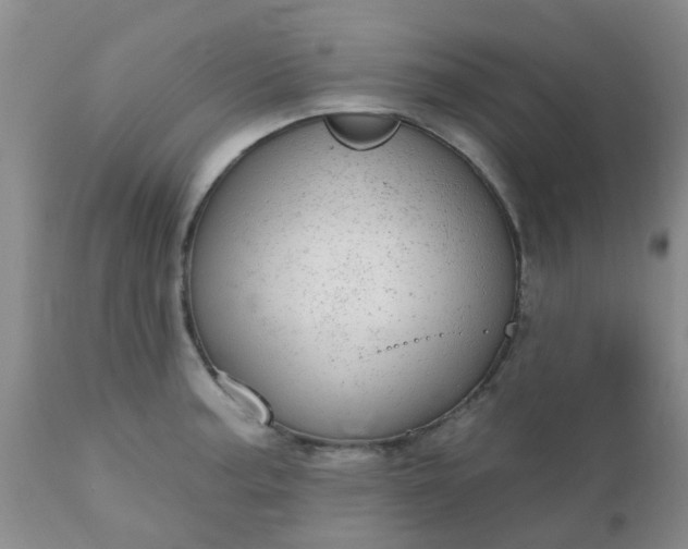 X0000110961187200907022214