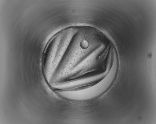 X0000110961189200907022214