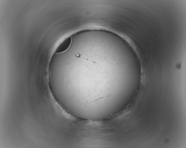 X0000110961191200907022214