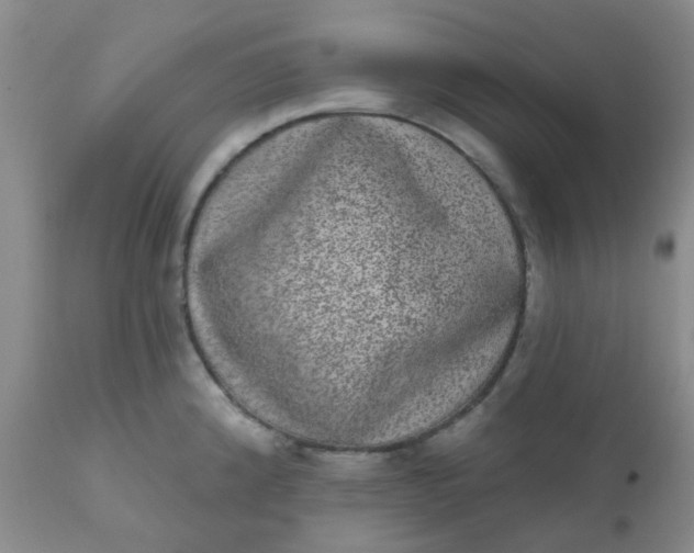 X0000110961192200907022214