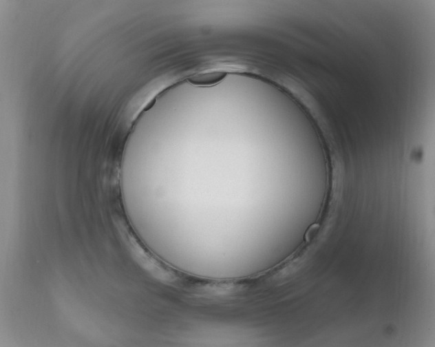 X0000110961193200907022214