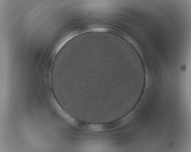 X0000110961194200907022214