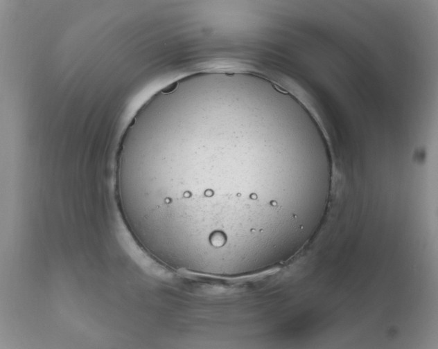 X0000110961195200907022214