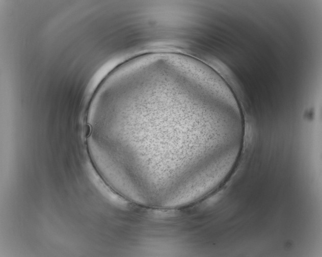 X0000110961196200907022213