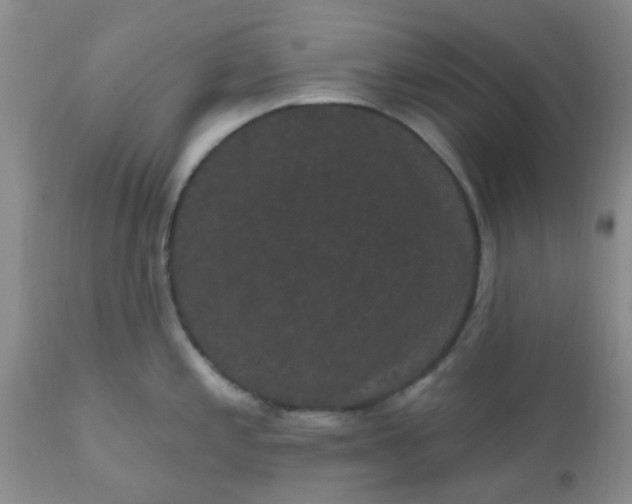 X0000110961197200907022213