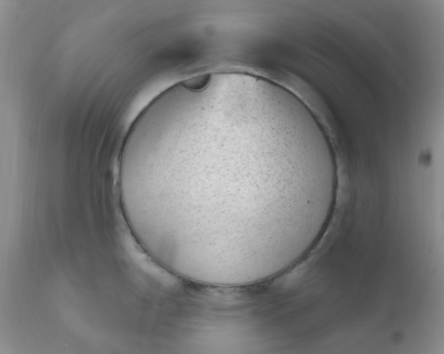 X0000110961198200907022213