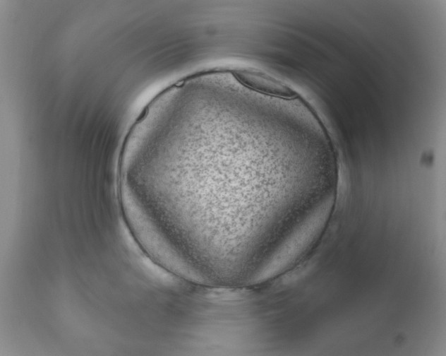 X0000110961199200907022213