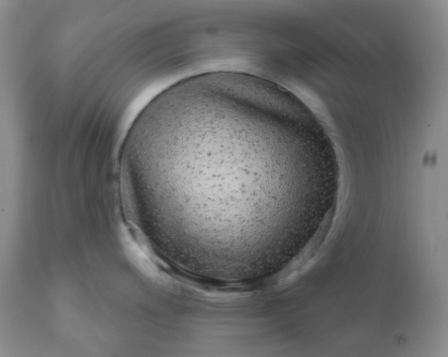 X0000110961200200907022213