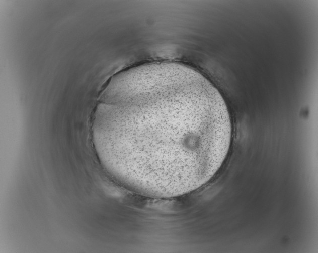 X0000110961201200907022213