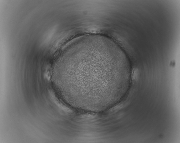 X0000110961202200907022213