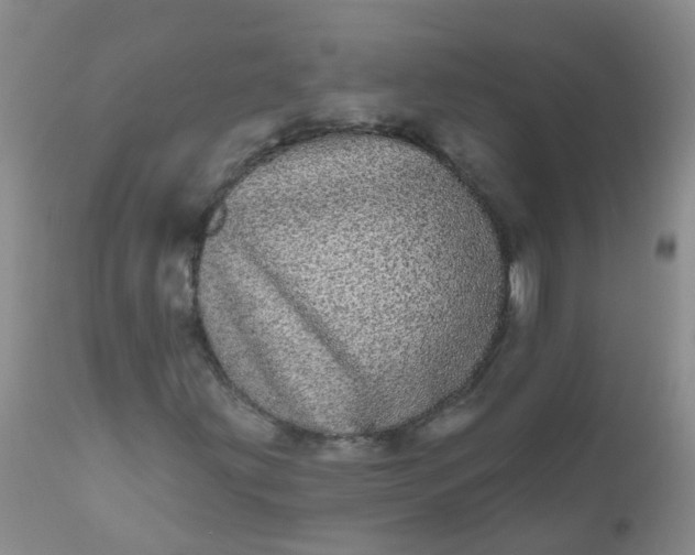 X0000110961203200907022213