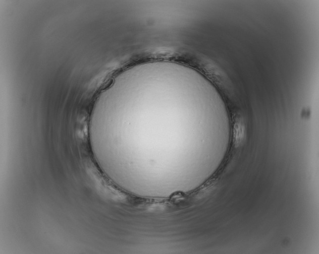 X0000110961204200907022213