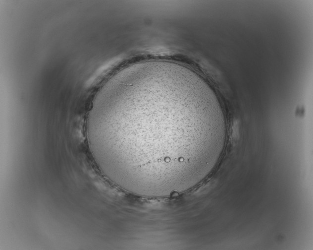 X0000110961205200907022213