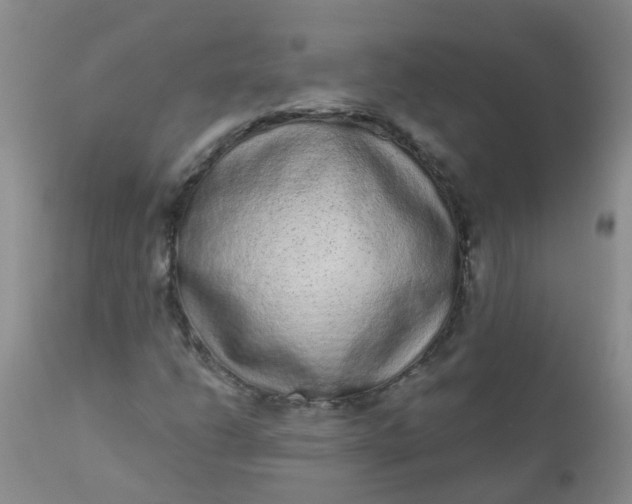 X0000110961206200907022213