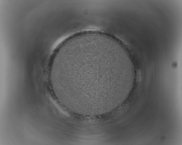 X0000110961208200907022213