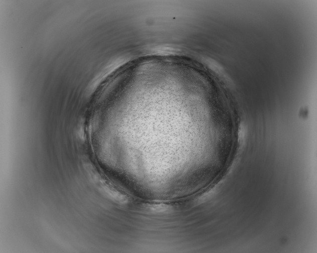 X0000110961209200907022213