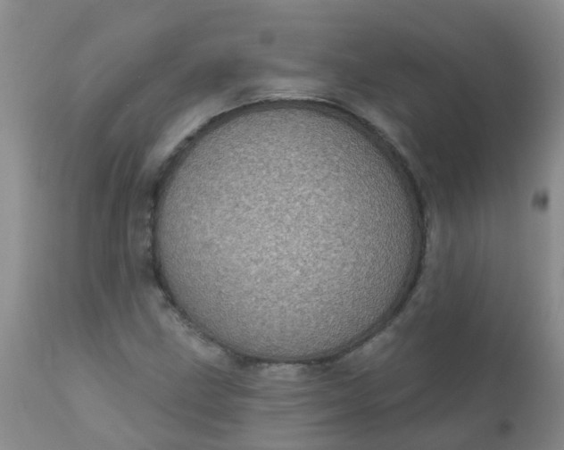 X0000110961211200907022213