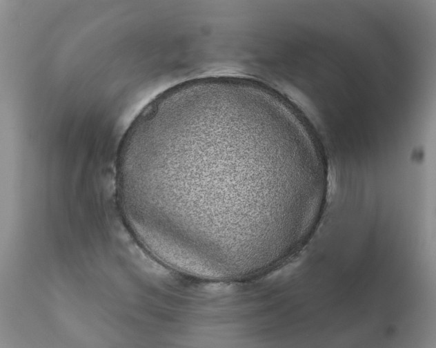 X0000110961212200907022213