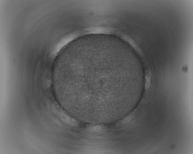 X0000110961213200907022213