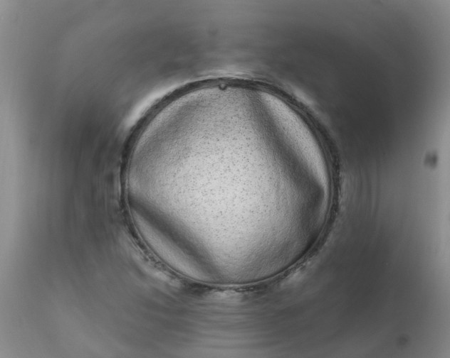 X0000110961214200907022213