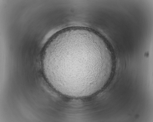 X0000110961215200907022213