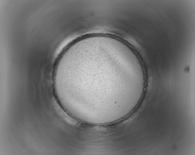 X0000110961216200907022213