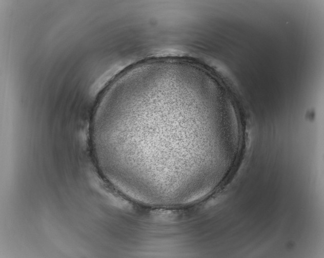 X0000110961217200907022213