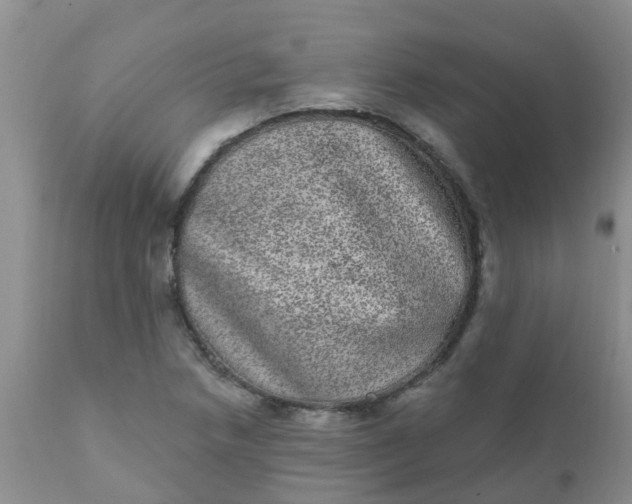 X0000110961218200907022213