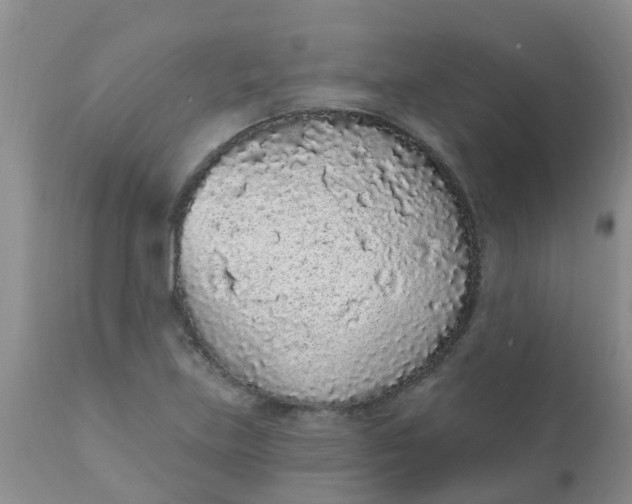 X0000110961219200907022213