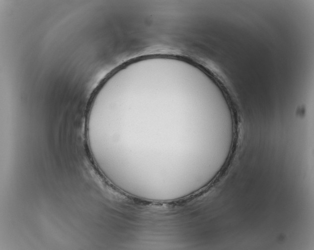 X0000110961220200907022213