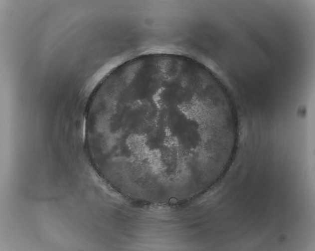 X0000110961221200907022213