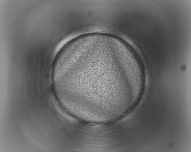 X0000110961222200907022213