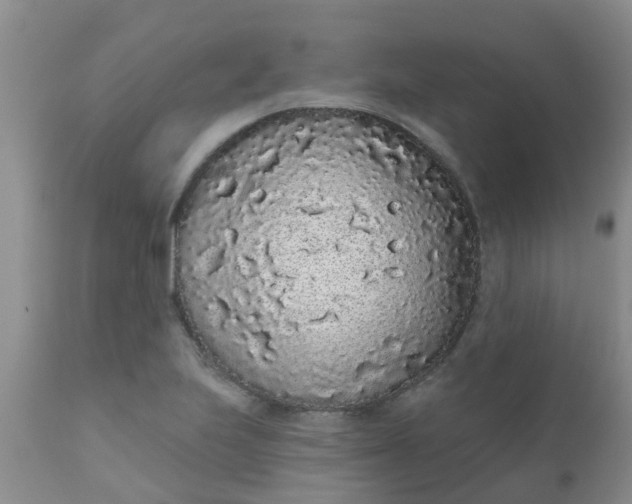 X0000110961223200907022213