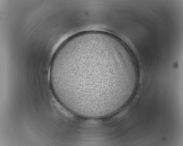 X0000110961224200907022213