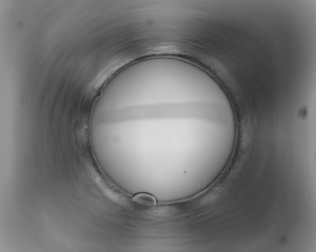 X0000110961225200907022213