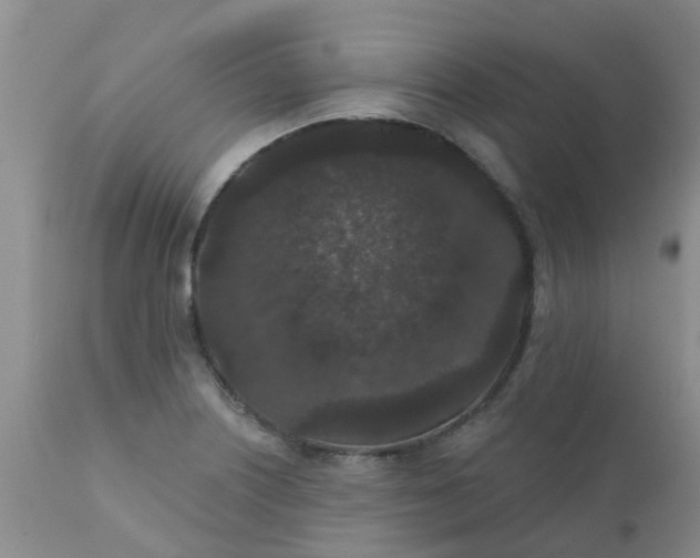 X0000110961226200907022213