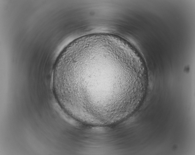 X0000110961227200907022213