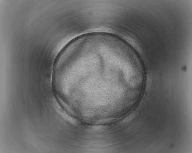 X0000110961228200907022213