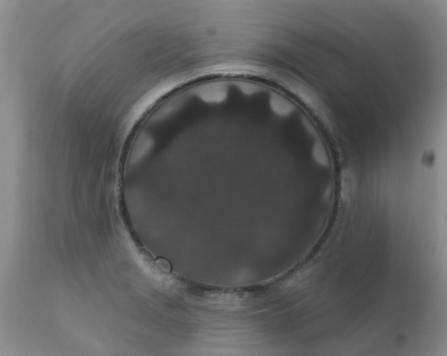 X0000110961229200907022213