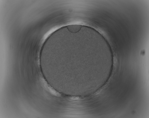 X0000110961230200907022213