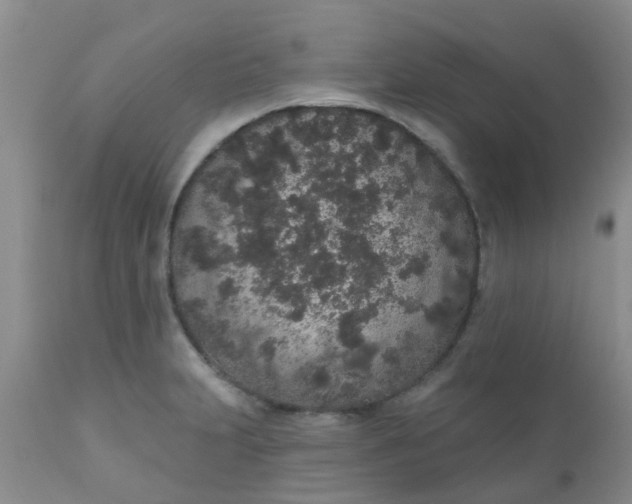 X0000110961231200907022213