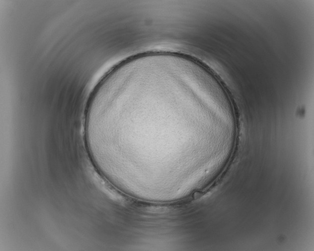 X0000110961232200907022213