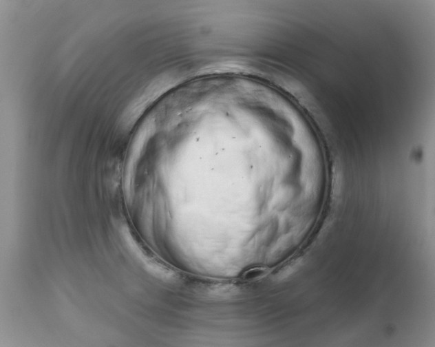 X0000110961233200907022213