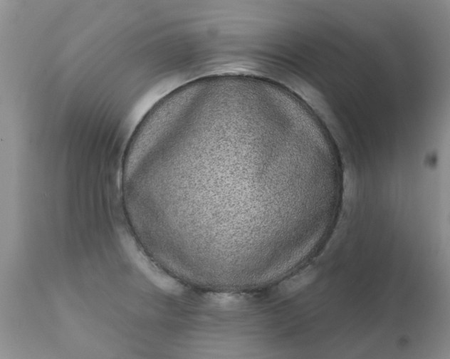 X0000110961234200907022213