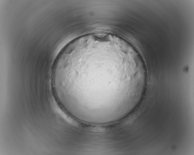 X0000110961235200907022213