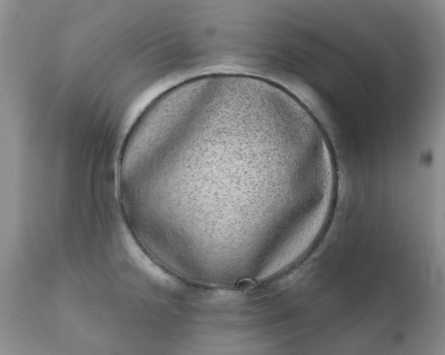 X0000110961238200907022213