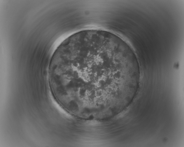 X0000110961239200907022213