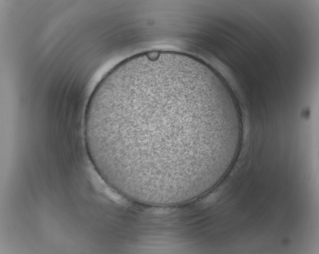 X0000110961240200907022213