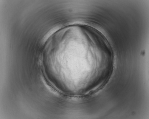 X0000110961241200907022213