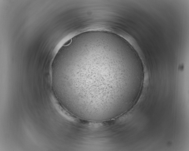 X0000110961242200907022213